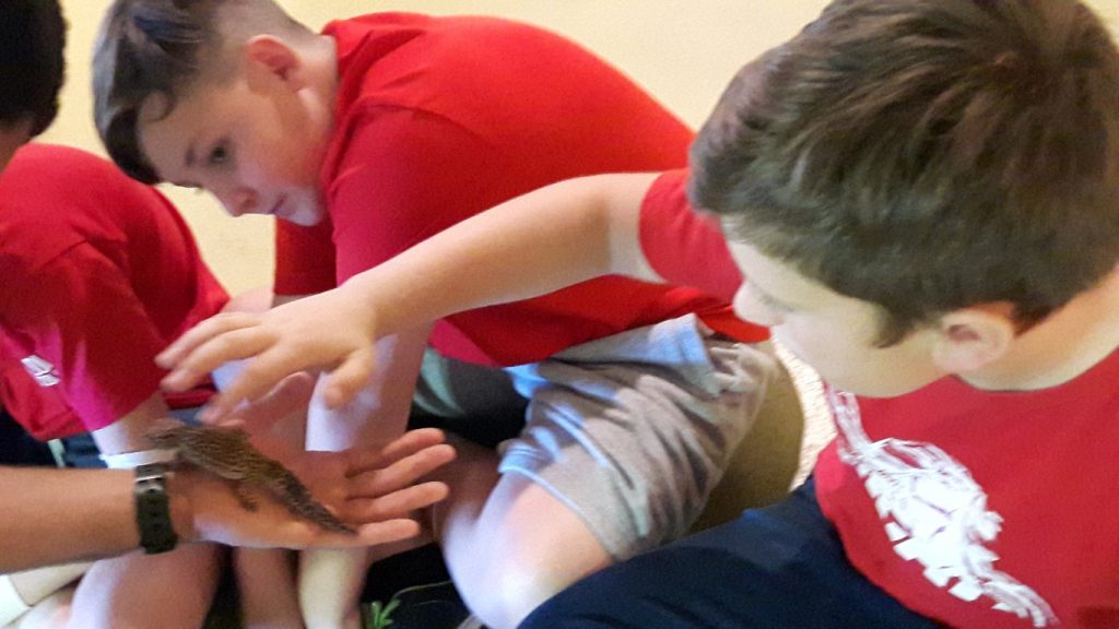 20170525_133938 (Medium)