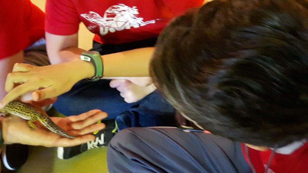 20170525_133947 (Medium)