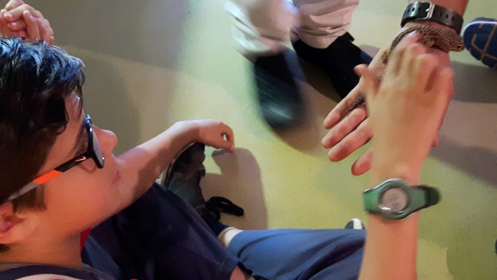 20170525_133957 (Medium)