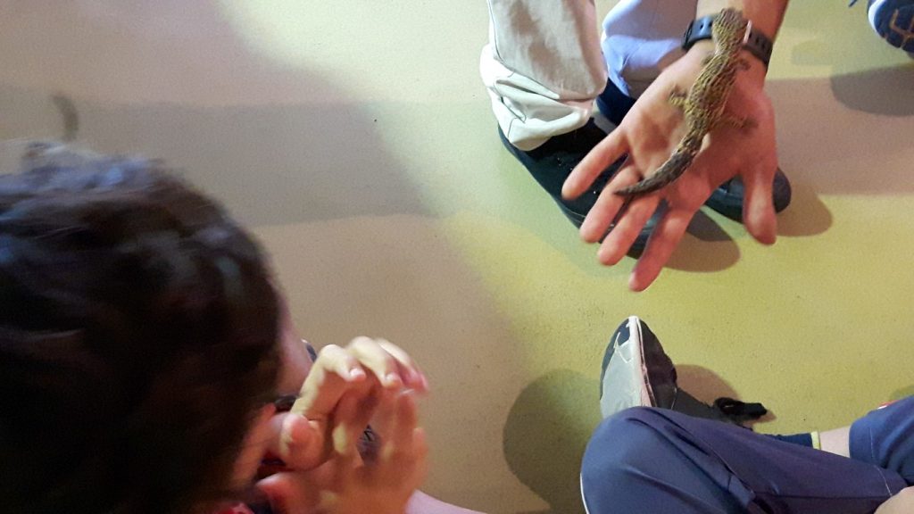 20170525_134010 (Medium)