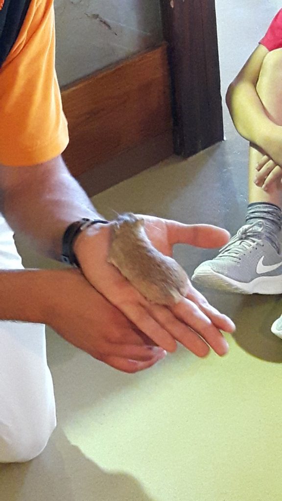 20170525_134143 (Medium)