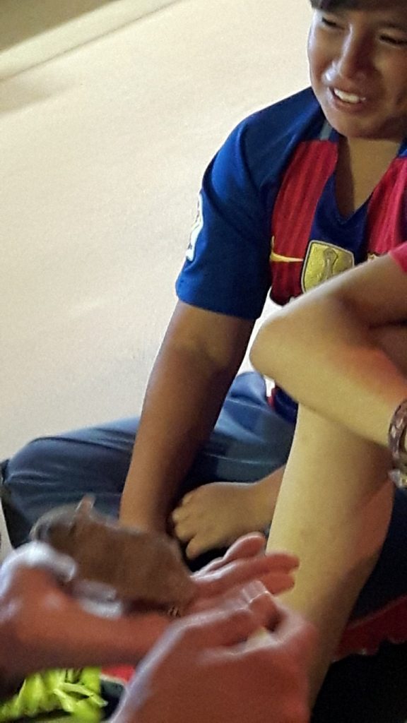 20170525_134208 (Medium)