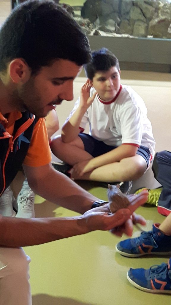 20170525_134230 (Medium)