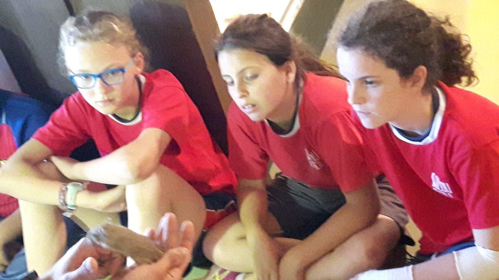 20170525_134305 (Medium)