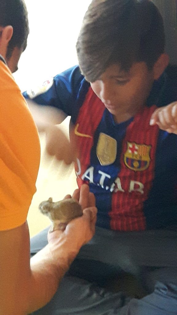 20170525_134352 (Medium)