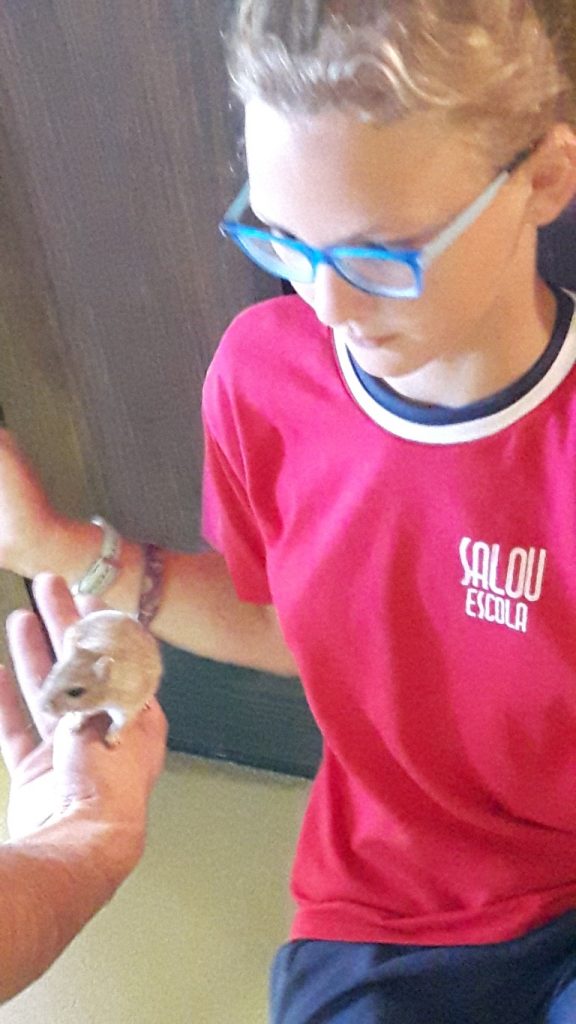 20170525_134401 (Medium)