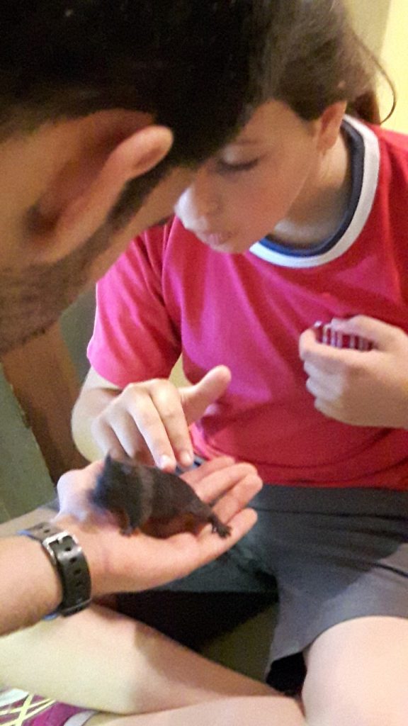 20170525_134451 (Medium)