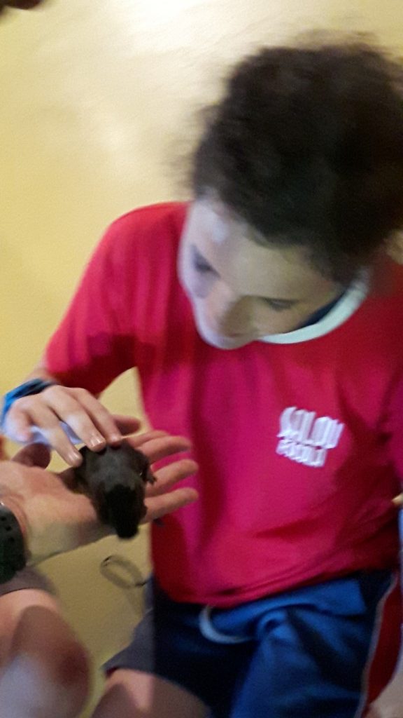 20170525_134501 (Medium)