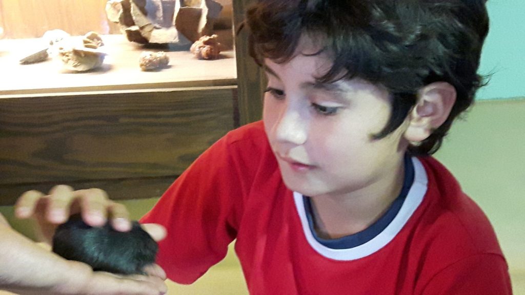 20170525_134537 (Medium)