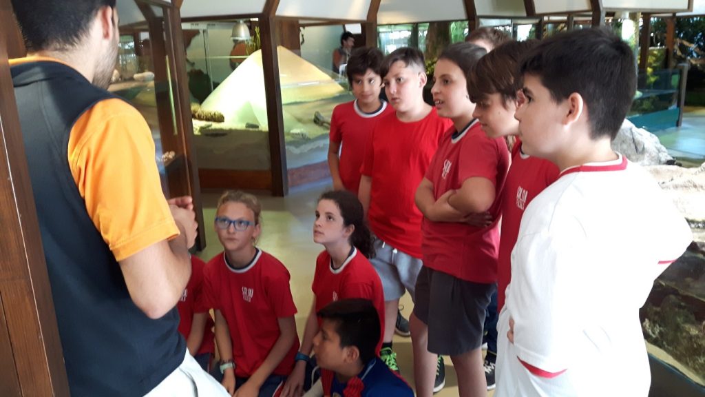 20170525_134720 (Medium)