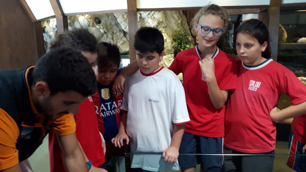 20170525_135557 (Medium)