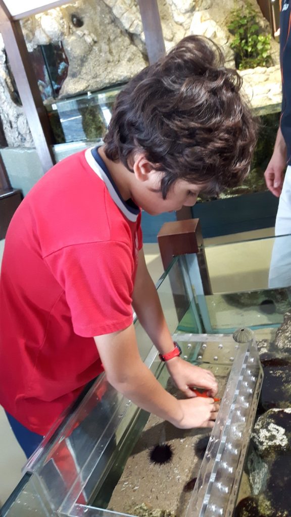 20170525_135803 (Medium)