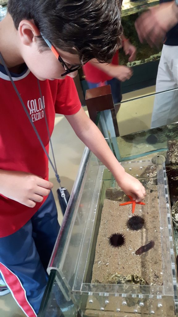 20170525_135823 (Medium)