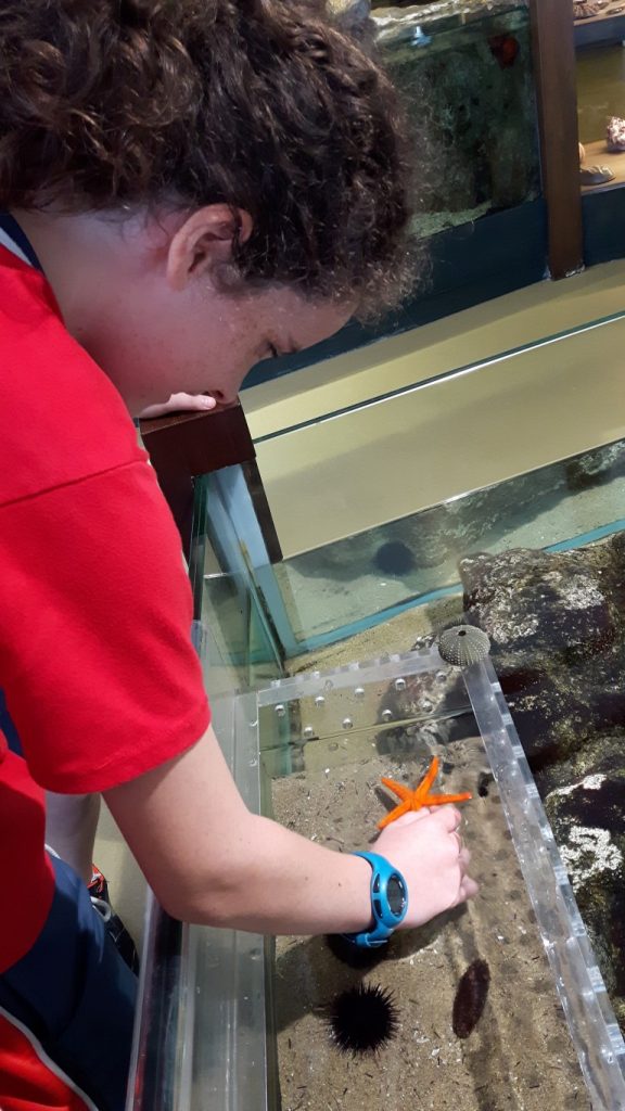 20170525_135857 (Medium)