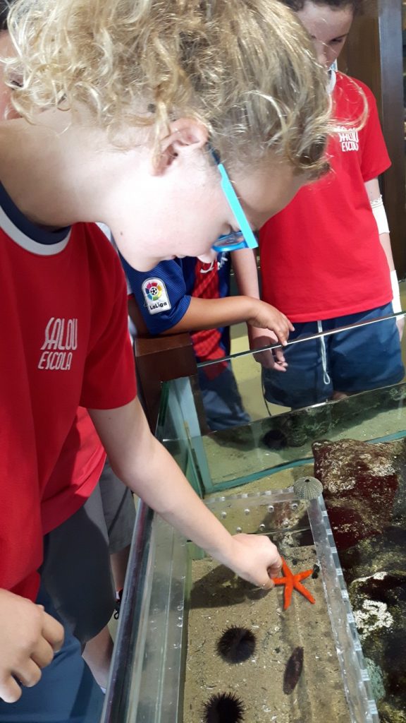 20170525_135949 (Medium)