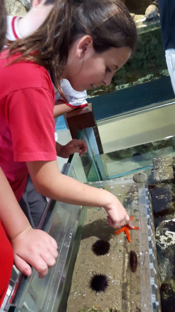 20170525_140029 (Medium)