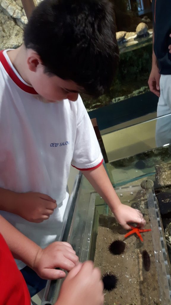 20170525_140106 (Medium)