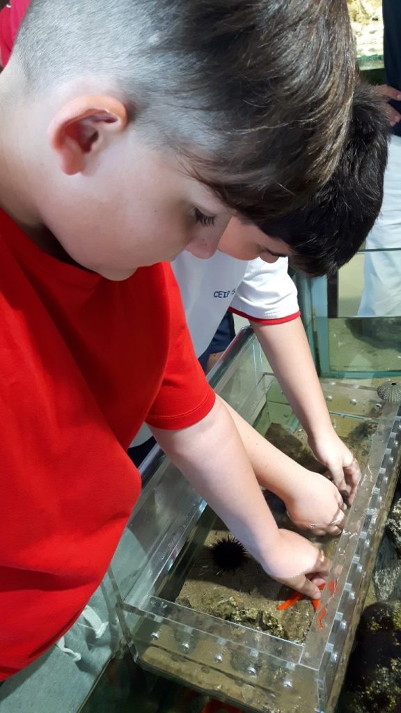 20170525_140129 (Medium)