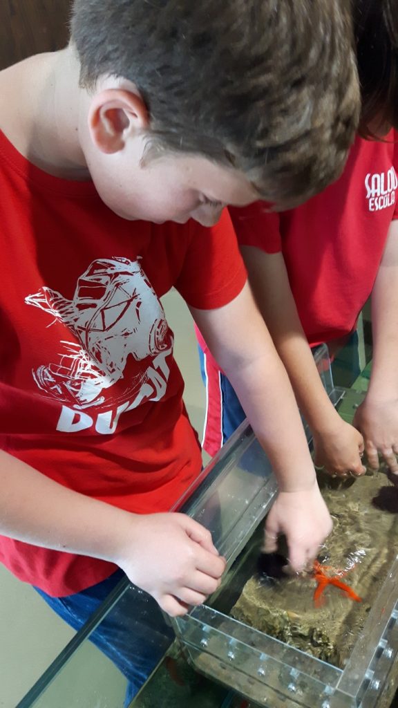 20170525_140208 (Medium)