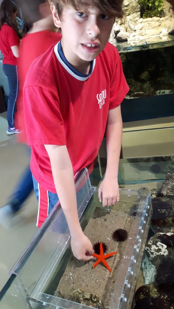 20170525_140227 (Medium)