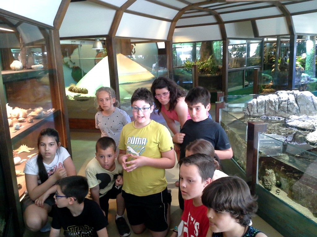 20170525_142358 (Medium)