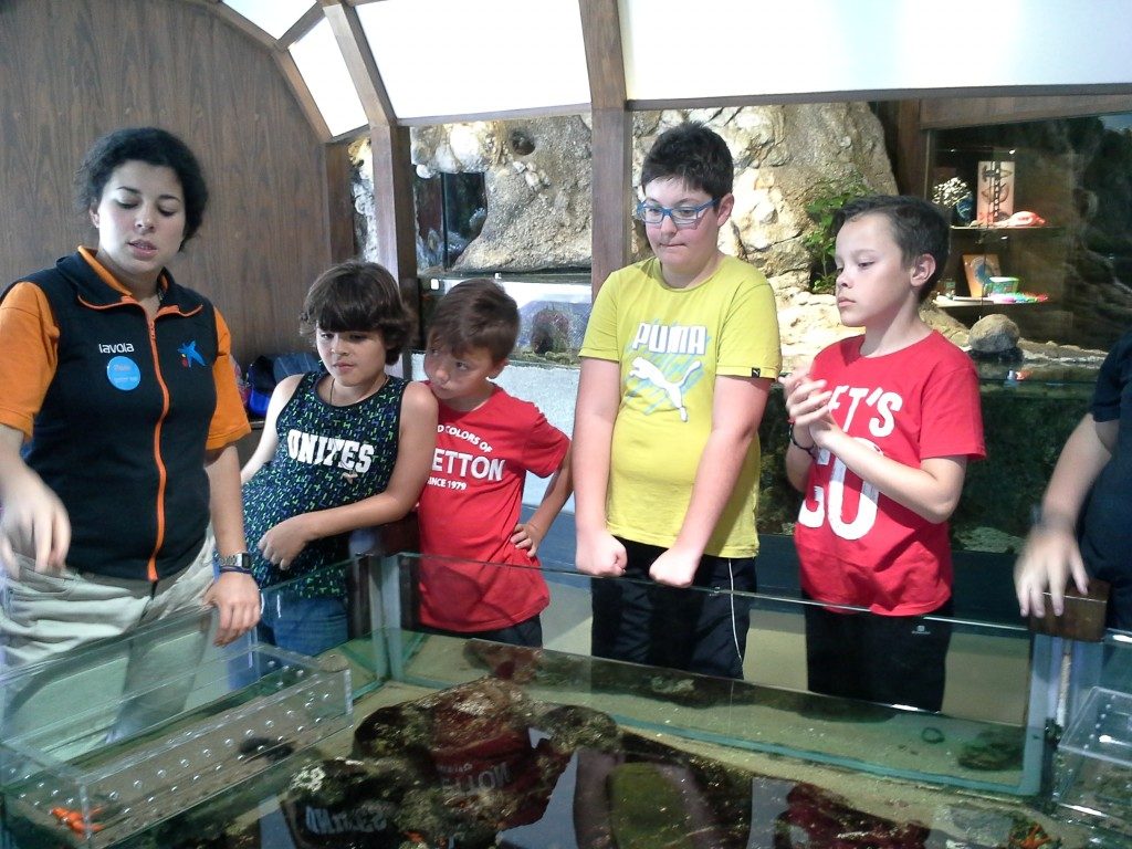 20170525_143257 (Medium)