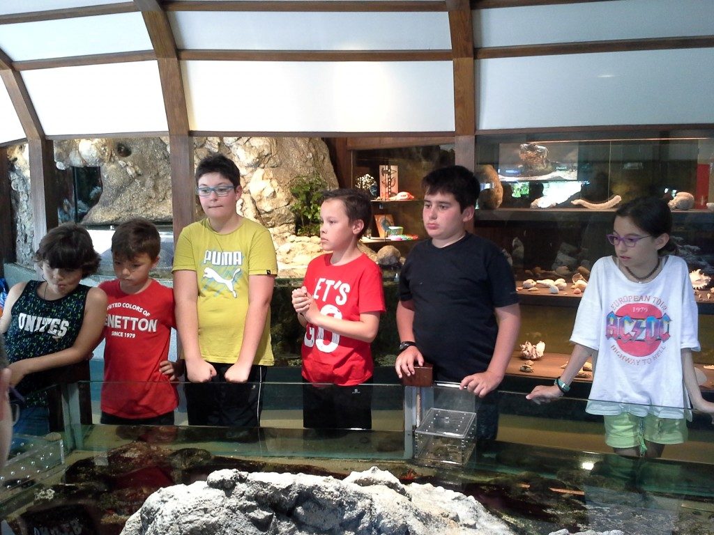 20170525_143304 (Medium)