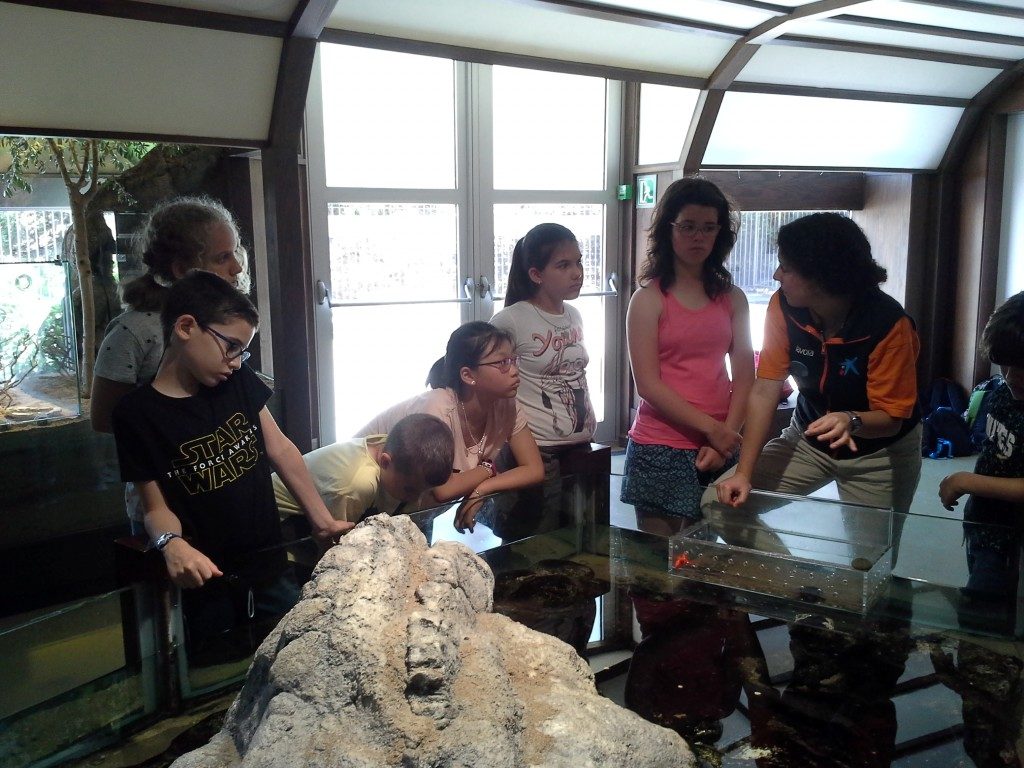 20170525_143318 (Medium)