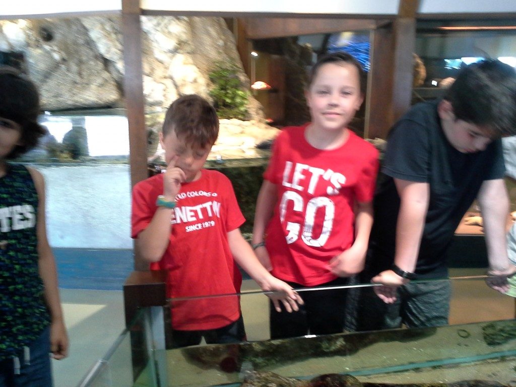 20170525_143830 (Medium)