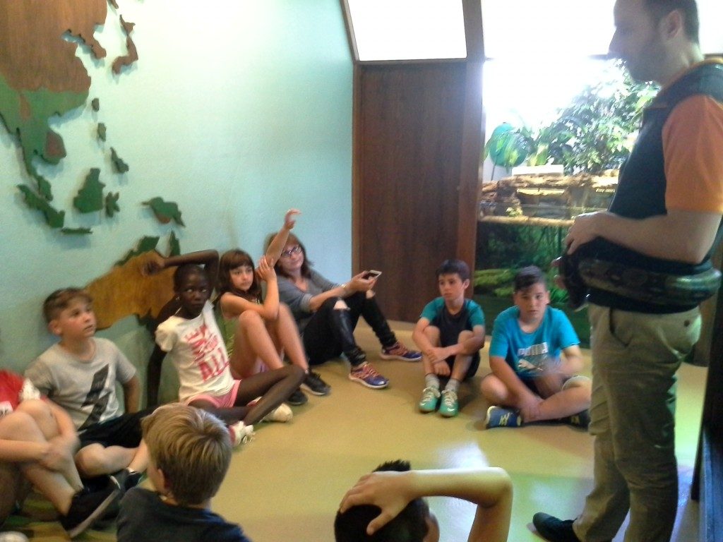 20170525_144431 (Medium)