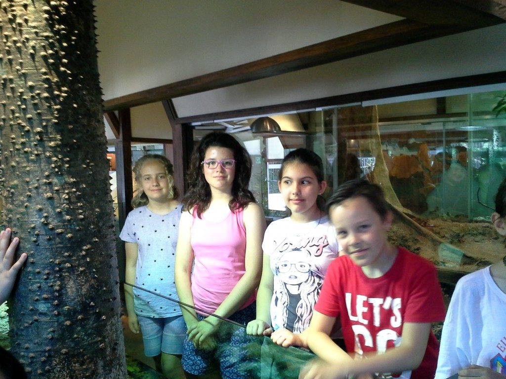 20170525_145520 (Medium)