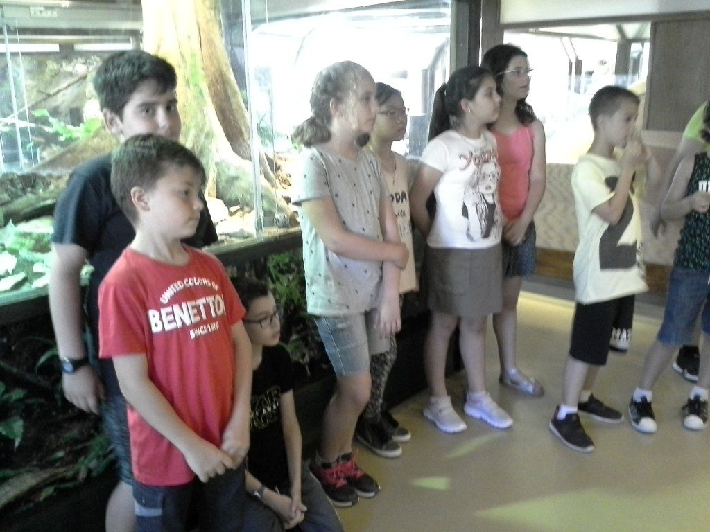 20170525_150133 (Medium)