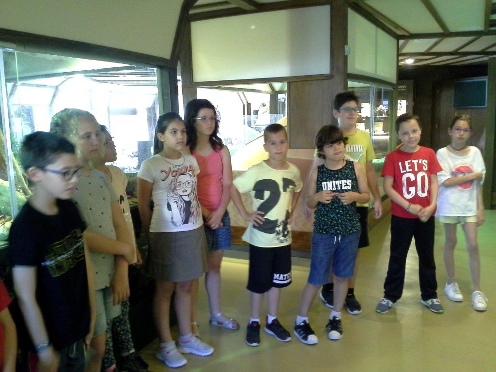 20170525_150139 (Medium)