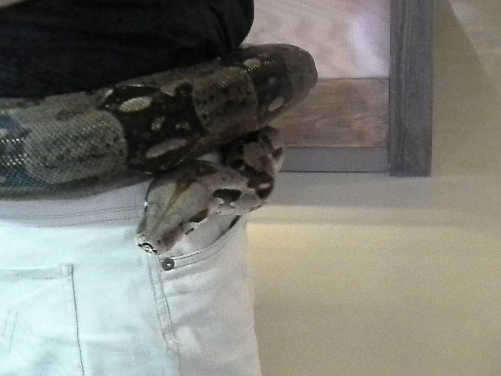 20170525_150538 (Medium)