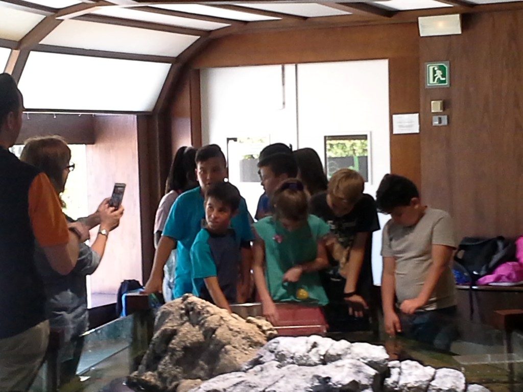 20170525_150647 (Medium)