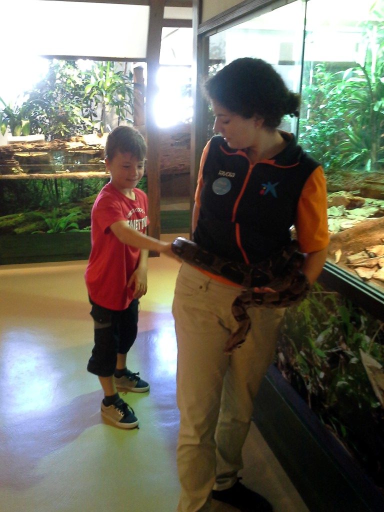 20170525_150753 (Medium)