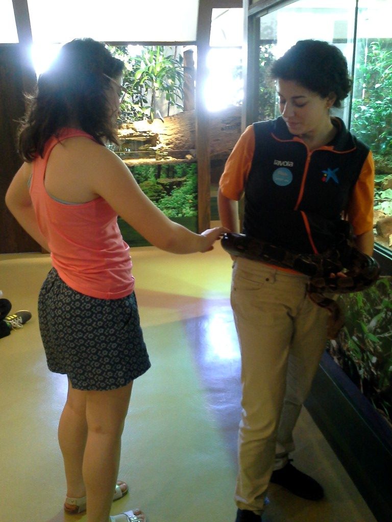 20170525_150803 (Medium)