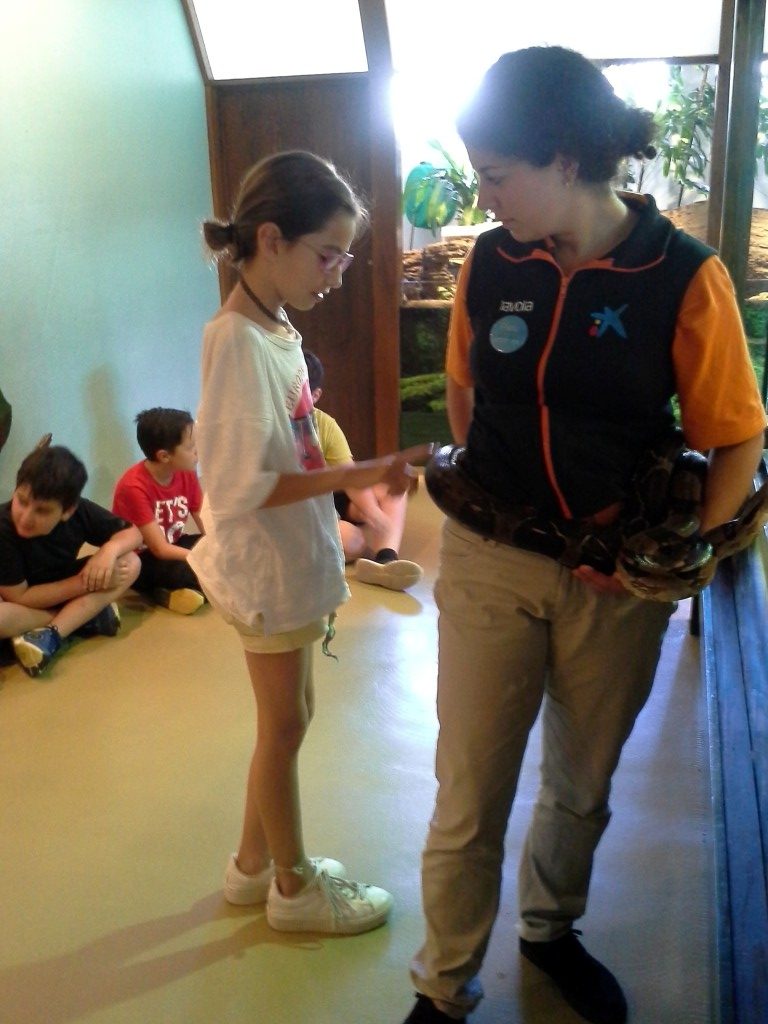 20170525_150831 (Medium)