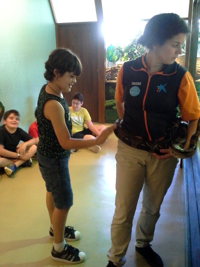 20170525_150839 (Medium)