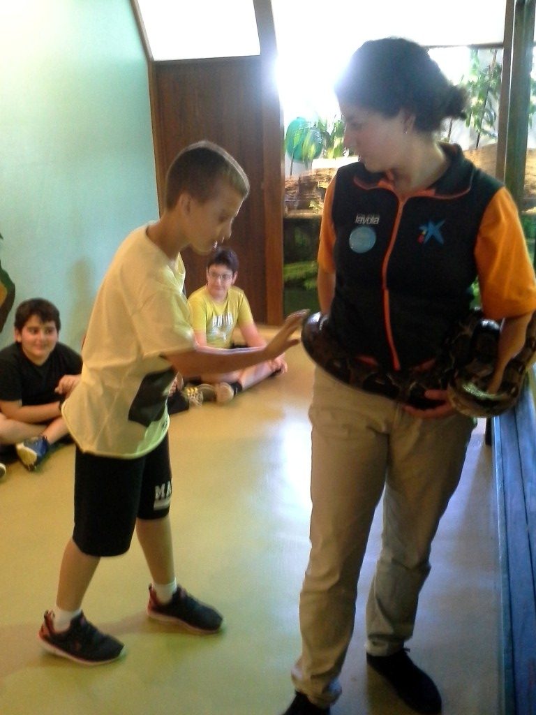 20170525_150847 (Medium)