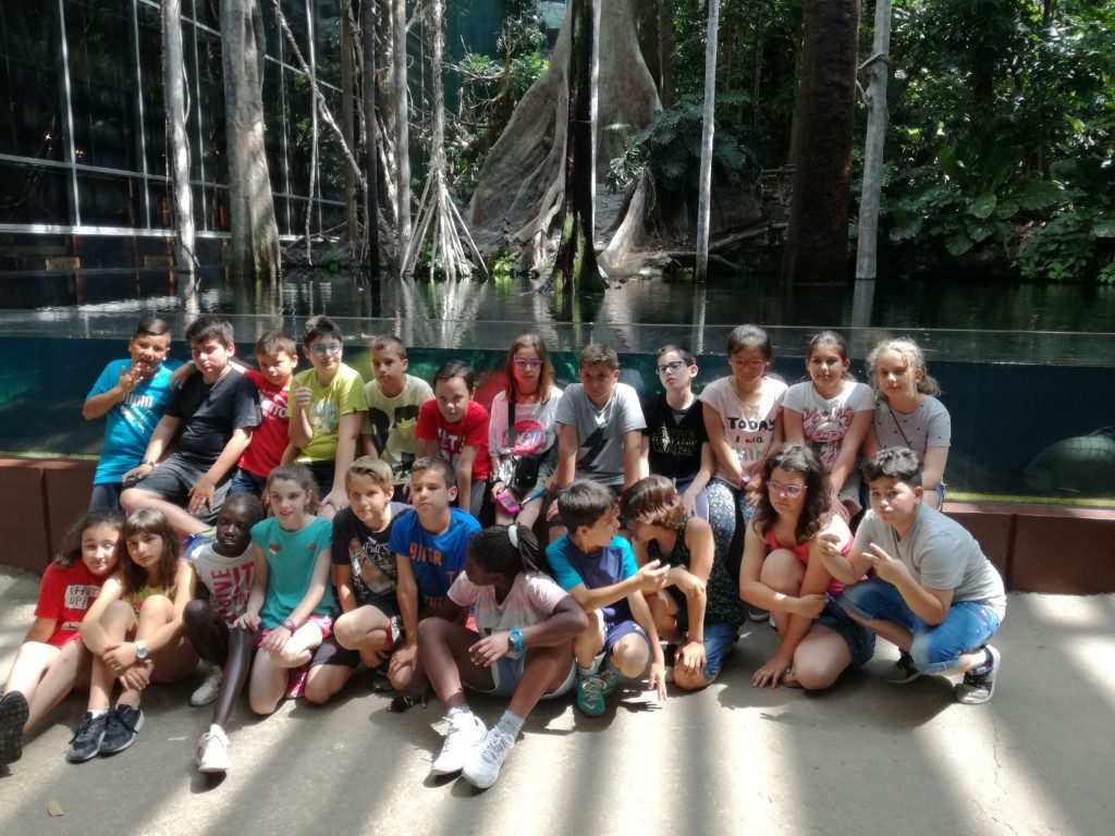 IMG-20170525-WA0003 (Medium)