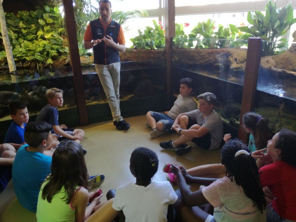 IMG-20170525-WA0004 (Medium)