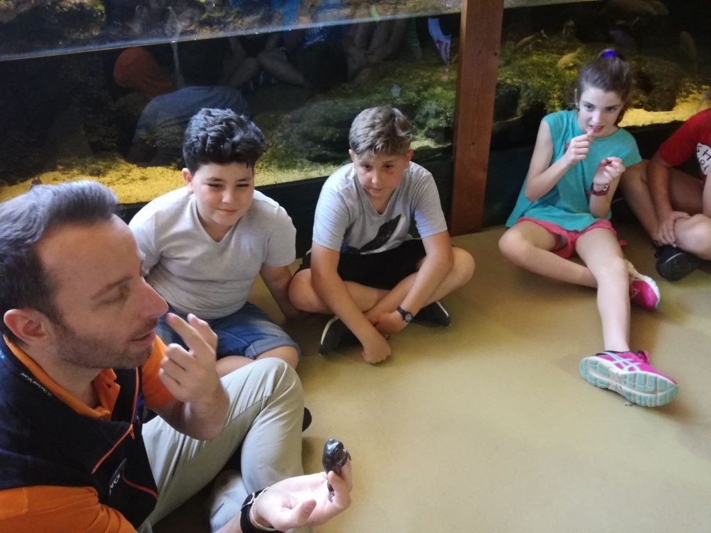 IMG-20170525-WA0005 (Medium)