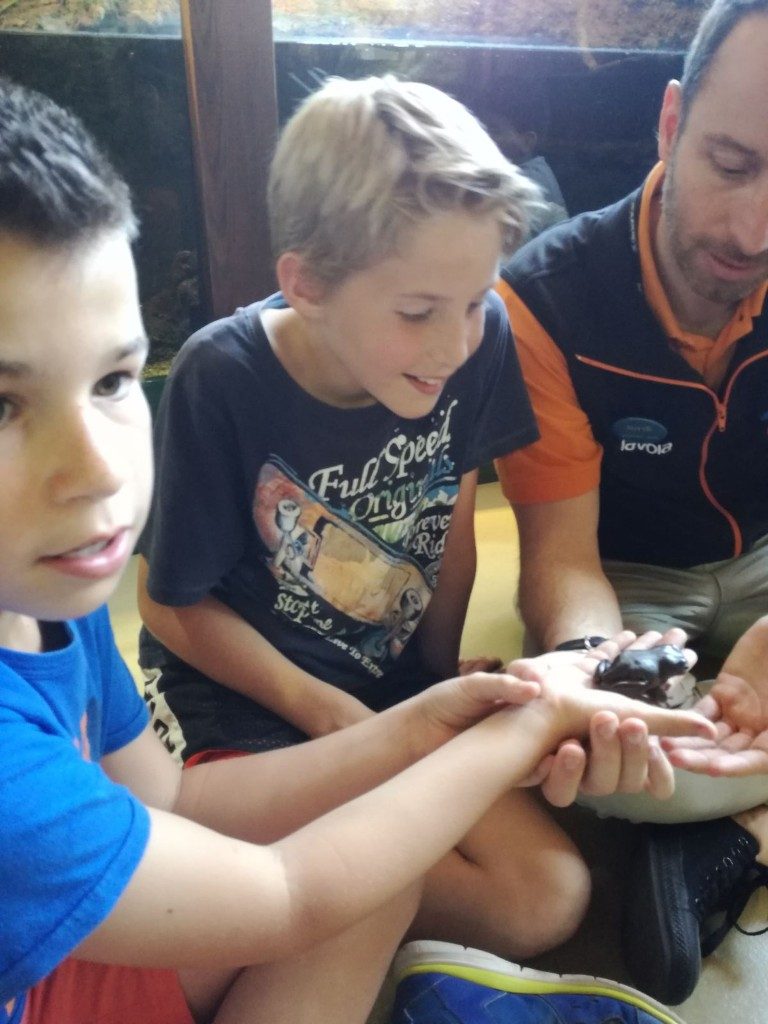 IMG-20170525-WA0006 (Medium)