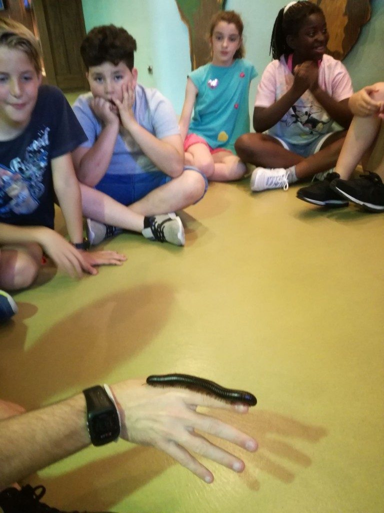 IMG-20170525-WA0007 (Medium)