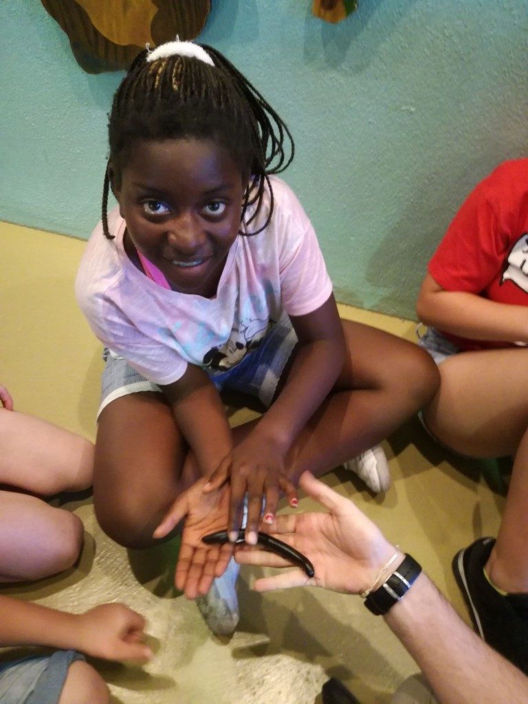 IMG-20170525-WA0008 (Medium)