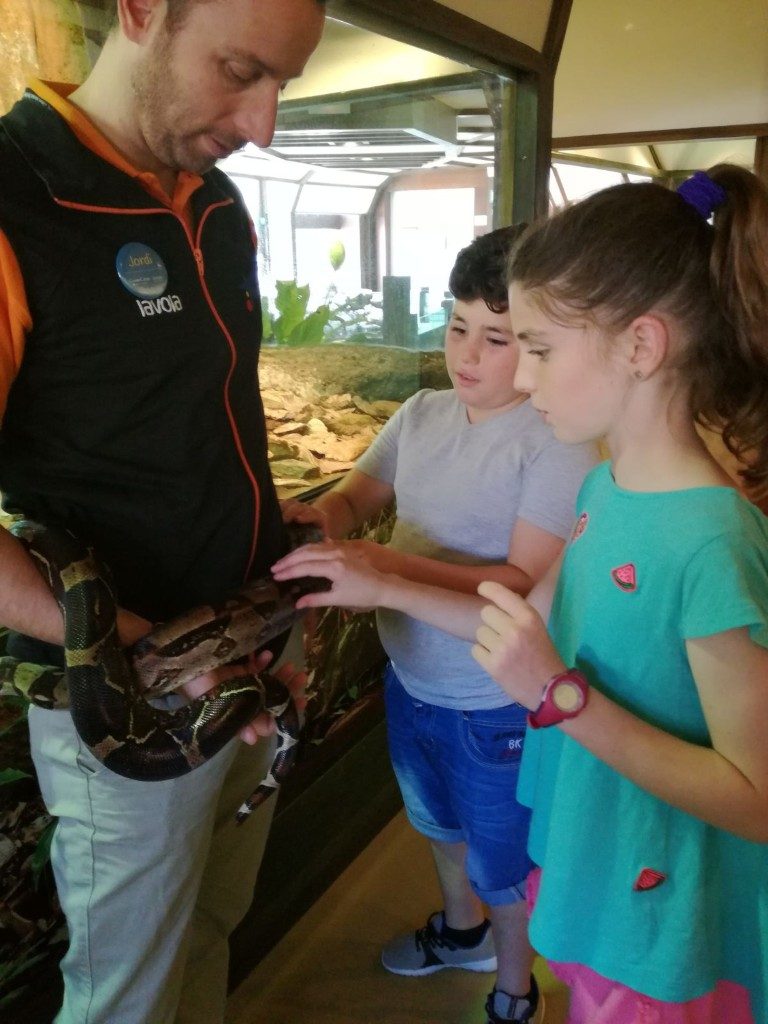 IMG-20170525-WA0009 (Medium)