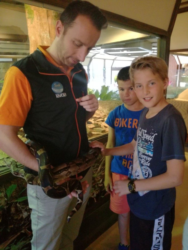 IMG-20170525-WA0010 (Medium)