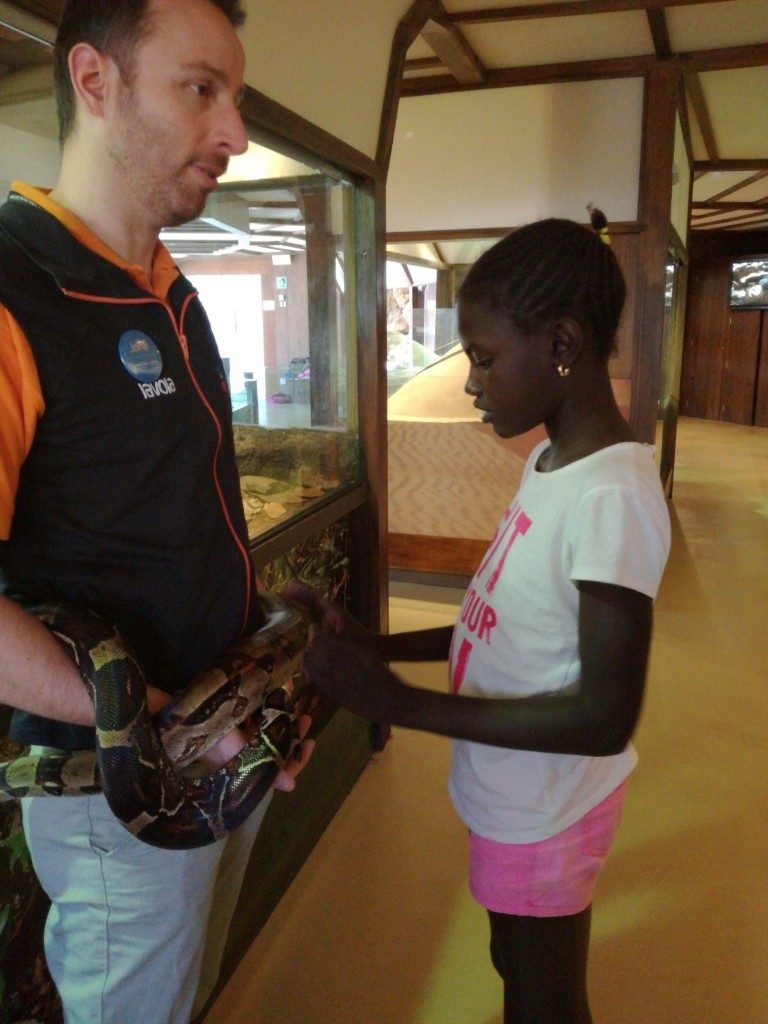 IMG-20170525-WA0011 (Medium)