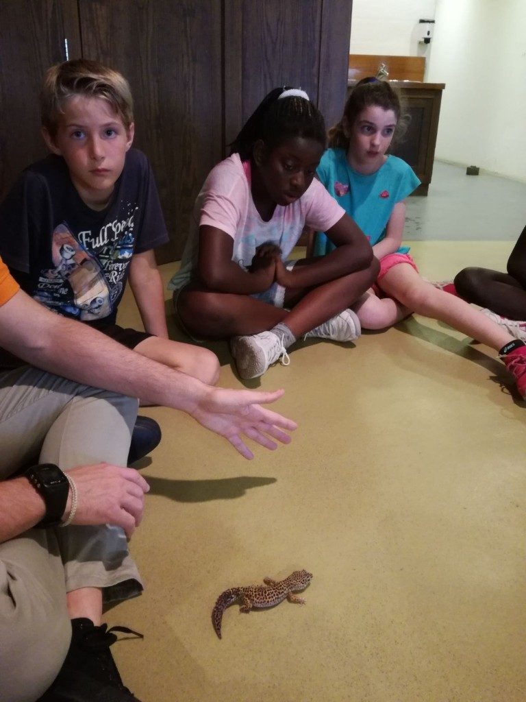 IMG-20170525-WA0012 (Medium)